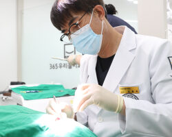 365우리들치과병원-당일즉시임플란트